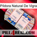 Píldora Natural De Vigra kamagra1